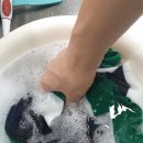 엘지세탁크리닝 이미지