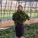 김원섭농장 이미지