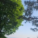 백암비스타골프장 | 비에이비스타CC 벨라·비스타코스 후기 - 그린스피드, 코스관리, 그늘집 대기시간 총정리