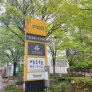 미인미성헤어픽쳐스 | 여의도 미용실 박승철헤어스투디오 여의도이마트점 박수진 이사님께 코랄피치 염색 후기
