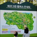 용둔목장 이미지