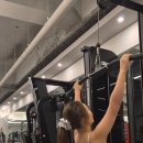 네스트짐 헬스피티 이미지