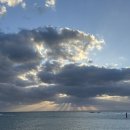 버거빌리지 | 오키나와 아메리칸빌리지 맛집 차탄 버거 베이스 아타비스 후기 | 아메빌 버거 맛집