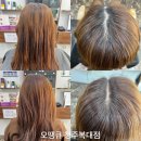 착한염색방 - 구리시 안골로19번길 11 | 착한염색방