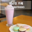 세빠프레소 이미지