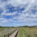 갯골생태공원 이미지