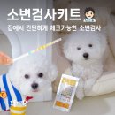 삼산로82번길L | 집에서 강아지소변검사, 리코테 소변검사 스트립 솔직 후기
