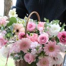 더 피올라 플라워 이미지