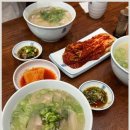 김치와돼지