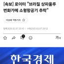 브라질 쌍파울루 번화가에 소형항공기 추락 이미지