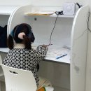 삼성영어셀레나원신흥영어교습소