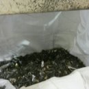 대성재활용 이미지