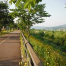 남한강자전거길 19 이미지