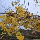 그림하우스 이미지