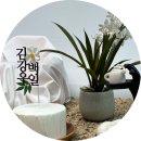 둘째 맘의 두 번째 셀프 백일상 대여 후기_아인테이블