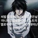 민경애견 | 最近色々