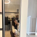 반스힐리조트 - 5832 | 🏠 홍천 반스힐리조트 17barn 후기 (애견동반 풀빌라, 내돈내산 찐후기)