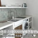 스테이 사선 | 여수 애견동반 감성 숙소 추천, 여수 스테이사선 내돈내산 후기🍀