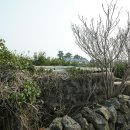 G1051 이미지