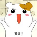 골든 커리 이미지