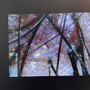 마마케어 | 동탄두피케어샵 두피마마, 문제성두피케어받은 후기, 케어받으면서 힐링하기