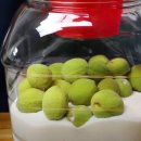 다름 과일 이미지