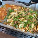 청춘-숲속의 섬,  이미지