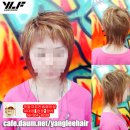 디자인울프