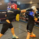 예스복싱 이미지