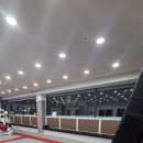 용인대 정의태권도 이미지