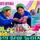 은하수와민들레