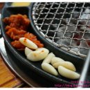 갈매기먹짱 이미지