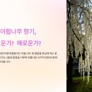 건강의향기
