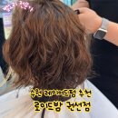 수원 권선동 미용실 추천 로이드밤 권선점 솔직후기
