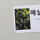 대박난한식뷔페 이미지