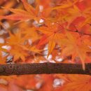 경암공원3 이미지