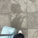 용마약국 | 제주여행 3일차 잠시 멈춰가기