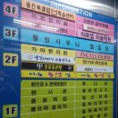 인셀덤신세계