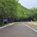 시도11호선 이미지