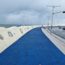 연동바다장어 이미지