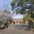 [성인] 일본에서 한 달 살기 회화 | 쿠마모토 한달살기 후기🌿☀️