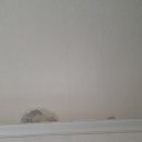 구암동480 이미지