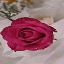 추모장례식장 매점 이미지