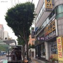 하늘샘음악학원