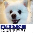 원당동물병원 이미지