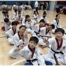 강철태권도 이미지