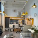 꽃개애견미용 이미지