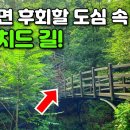 성신여대 6번출구1162버스 북한산 이미지