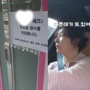 꿈꾸는개 이미지