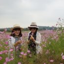 홍예공원로 이미지